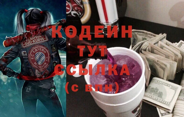 стаф Данков
