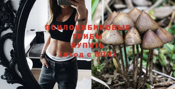 эйфоретик Алексеевка