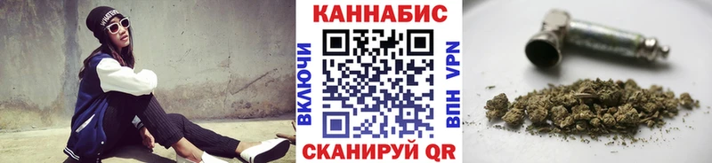 Каннабис план  купить  цена  Бабушкин 